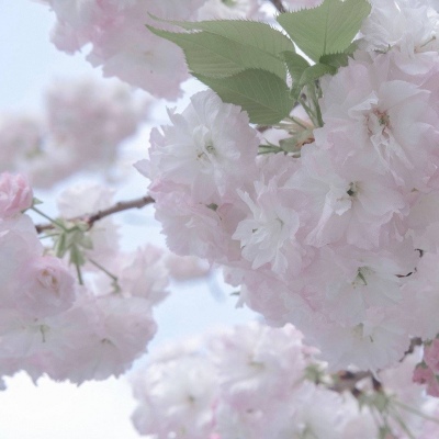 Furry插画光影解析干货兽圈群